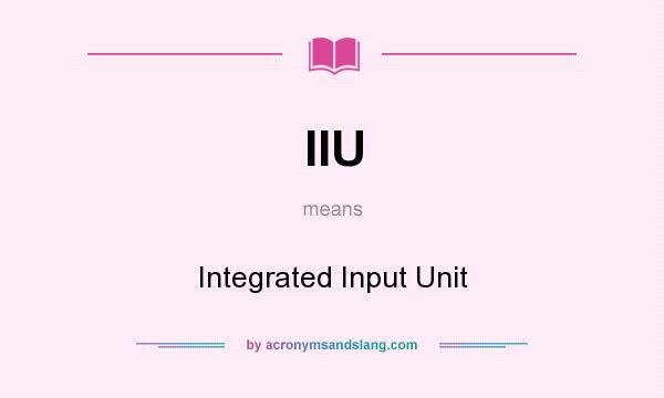 What does IIU mean? It stands for Integrated Input Unit