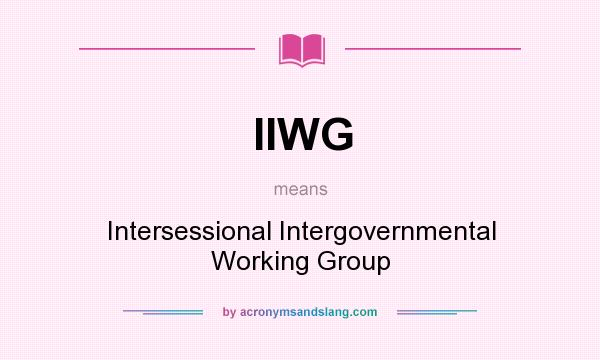 What does IIWG mean? It stands for Intersessional Intergovernmental Working Group