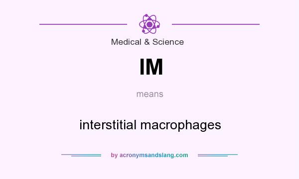 What does IM mean? It stands for interstitial macrophages