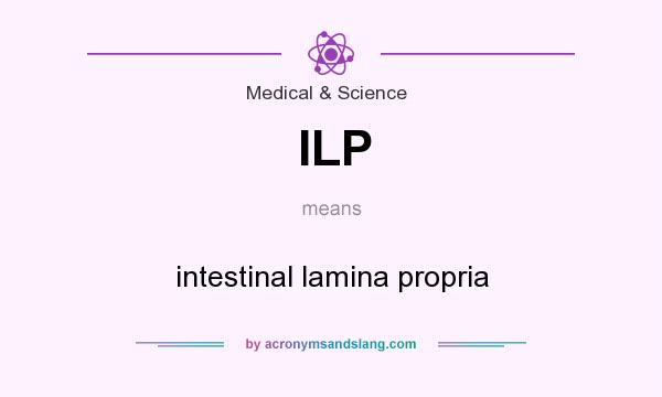 What does ILP mean? It stands for intestinal lamina propria