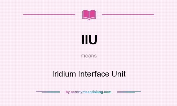 What does IIU mean? It stands for Iridium Interface Unit