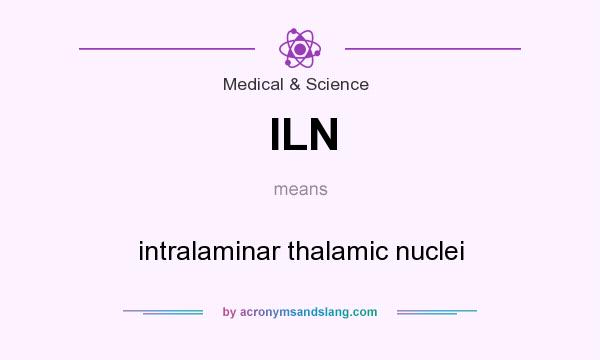 What does ILN mean? It stands for intralaminar thalamic nuclei