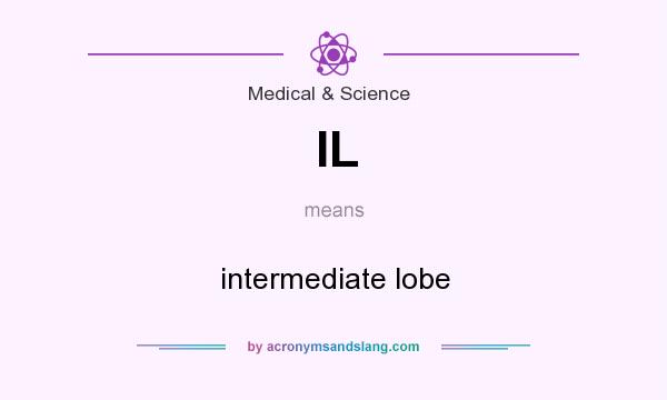 What does IL mean? It stands for intermediate lobe