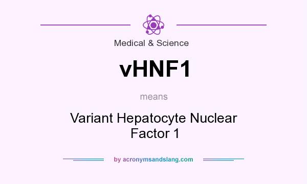What does vHNF1 mean? It stands for Variant Hepatocyte Nuclear Factor 1