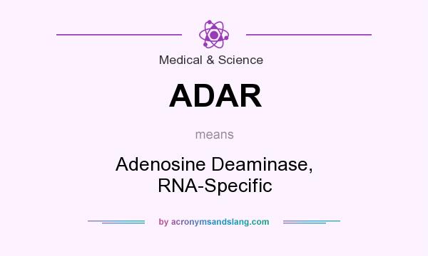 What does ADAR mean? It stands for Adenosine Deaminase, RNA-Specific