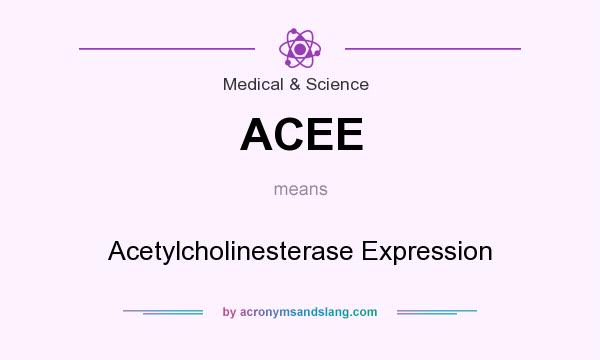 What does ACEE mean? It stands for Acetylcholinesterase Expression