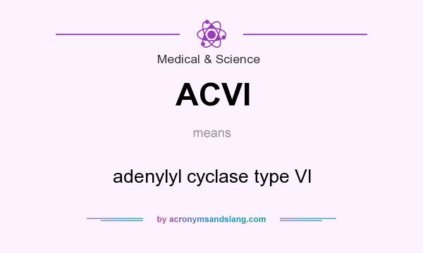 What does ACVI mean? It stands for adenylyl cyclase type VI