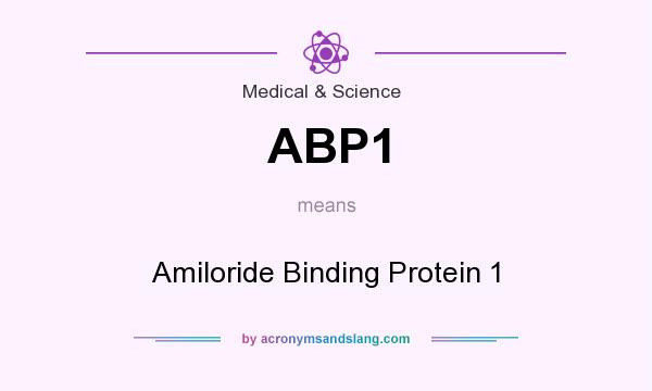 What does ABP1 mean? It stands for Amiloride Binding Protein 1