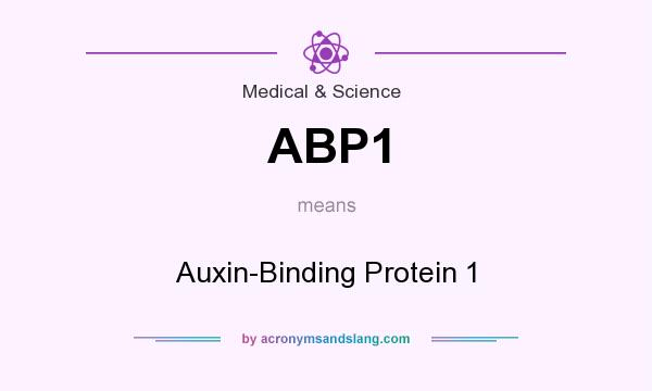 What does ABP1 mean? It stands for Auxin-Binding Protein 1