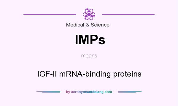 What does IMPs mean? It stands for IGF-II mRNA-binding proteins