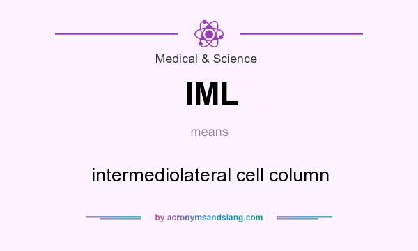 What does IML mean? It stands for intermediolateral cell column