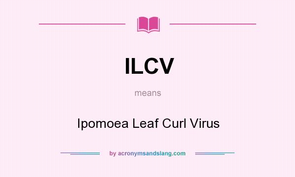 What does ILCV mean? It stands for Ipomoea Leaf Curl Virus
