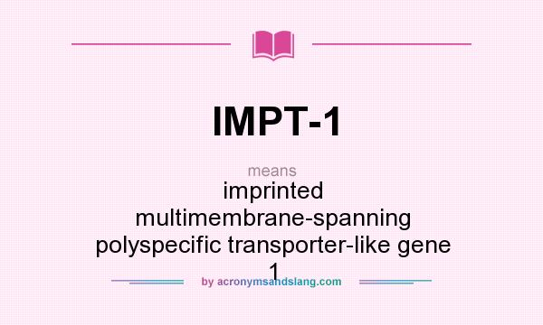 What does IMPT-1 mean? It stands for imprinted multimembrane-spanning polyspecific transporter-like gene 1