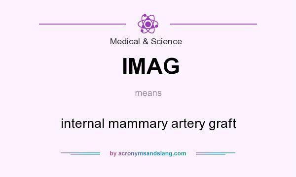 What does IMAG mean? It stands for internal mammary artery graft