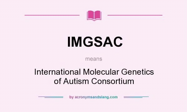 What does IMGSAC mean? It stands for International Molecular Genetics of Autism Consortium