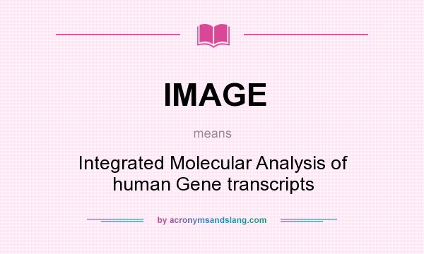What does IMAGE mean? It stands for Integrated Molecular Analysis of human Gene transcripts