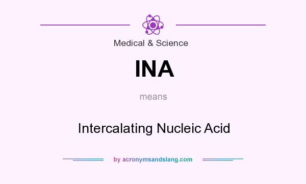 What does INA mean? It stands for Intercalating Nucleic Acid