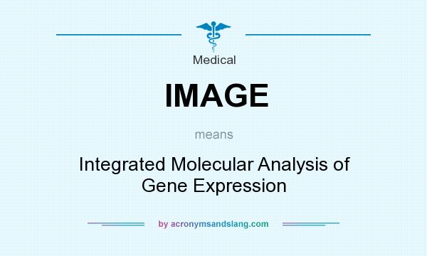 What does IMAGE mean? It stands for Integrated Molecular Analysis of Gene Expression