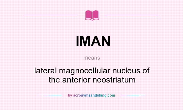 What does IMAN mean? It stands for lateral magnocellular nucleus of the anterior neostriatum