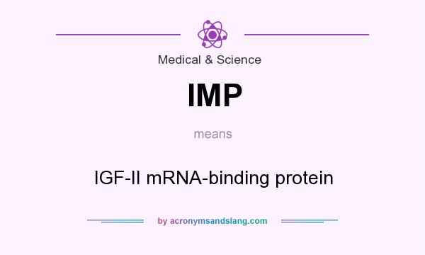 What does IMP mean? It stands for IGF-II mRNA-binding protein
