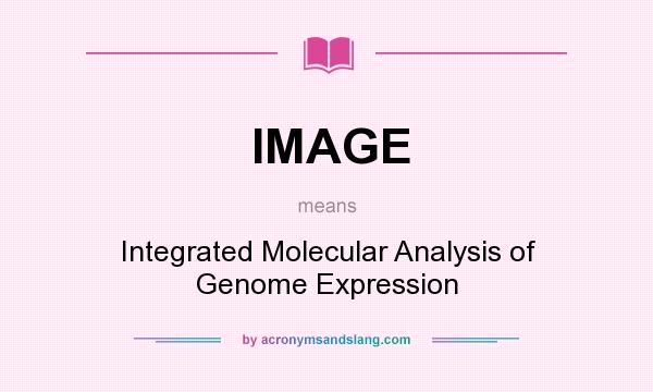 What does IMAGE mean? It stands for Integrated Molecular Analysis of Genome Expression