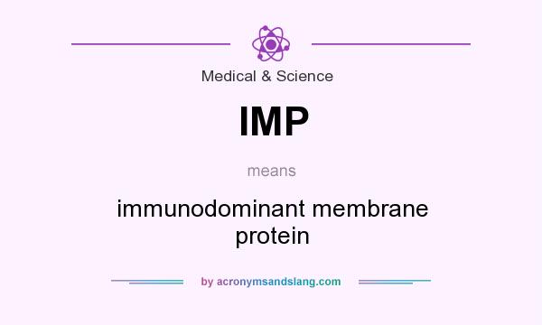 What does IMP mean? It stands for immunodominant membrane protein