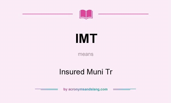 What does IMT mean? It stands for Insured Muni Tr