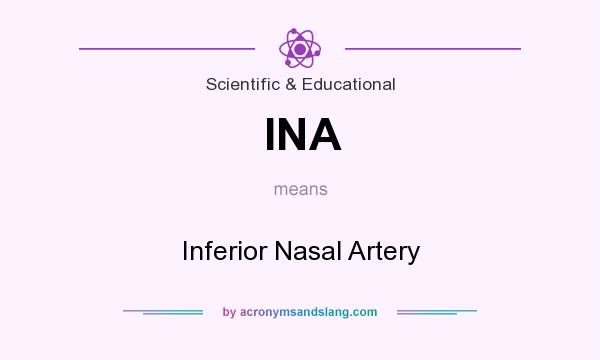 What does INA mean? It stands for Inferior Nasal Artery