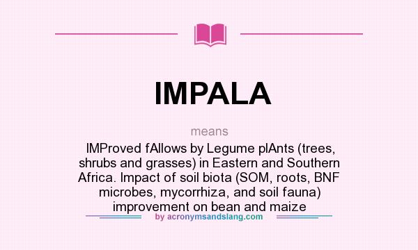 What does IMPALA mean? It stands for IMProved fAllows by Legume plAnts (trees, shrubs and grasses) in Eastern and Southern Africa. Impact of soil biota (SOM, roots, BNF microbes, mycorrhiza, and soil fauna) improvement on bean and maize