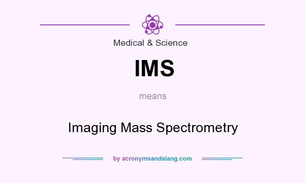 What does IMS mean? It stands for Imaging Mass Spectrometry