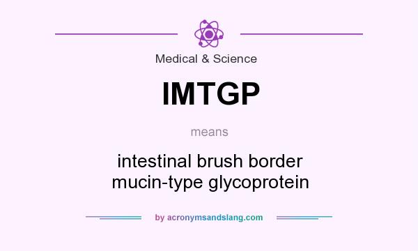 What does IMTGP mean? It stands for intestinal brush border mucin-type glycoprotein