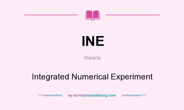 What does INE mean? It stands for Integrated Numerical Experiment