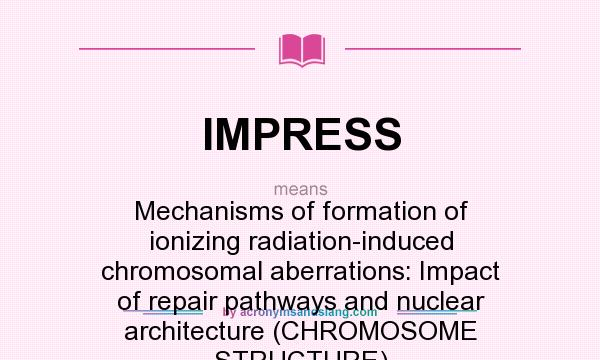 What does IMPRESS mean? It stands for Mechanisms of formation of ionizing radiation-induced chromosomal aberrations: Impact of repair pathways and nuclear architecture (CHROMOSOME STRUCTURE)