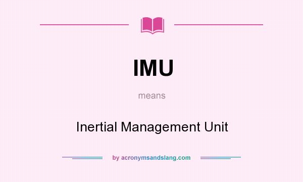 What does IMU mean? It stands for Inertial Management Unit