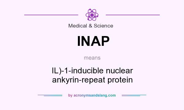 What does INAP mean? It stands for IL)-1-inducible nuclear ankyrin-repeat protein