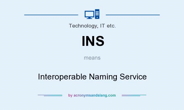 What does INS mean? It stands for Interoperable Naming Service