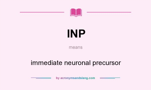 What does INP mean? It stands for immediate neuronal precursor