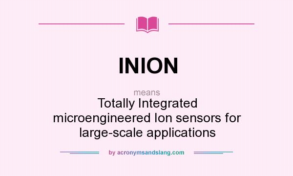 What does INION mean? It stands for Totally Integrated microengineered Ion sensors for large-scale applications