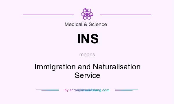 What does INS mean? It stands for Immigration and Naturalisation Service