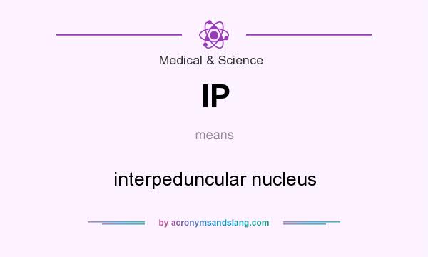 What does IP mean? It stands for interpeduncular nucleus