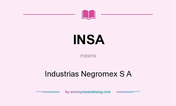 What does INSA mean? It stands for Industrias Negromex S A