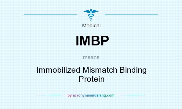 What does IMBP mean? It stands for Immobilized Mismatch Binding Protein