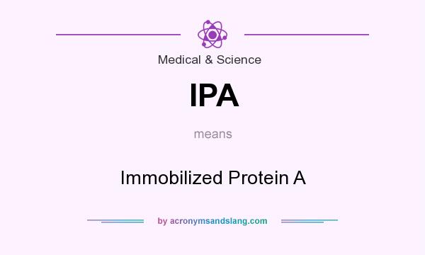 What does IPA mean? It stands for Immobilized Protein A