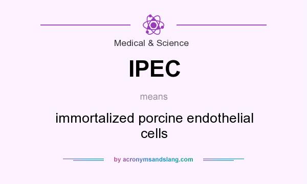 What does IPEC mean? It stands for immortalized porcine endothelial cells