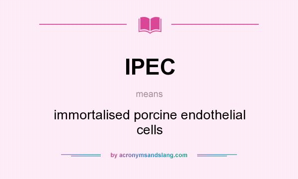 What does IPEC mean? It stands for immortalised porcine endothelial cells