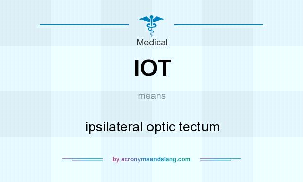 What does IOT mean? It stands for ipsilateral optic tectum