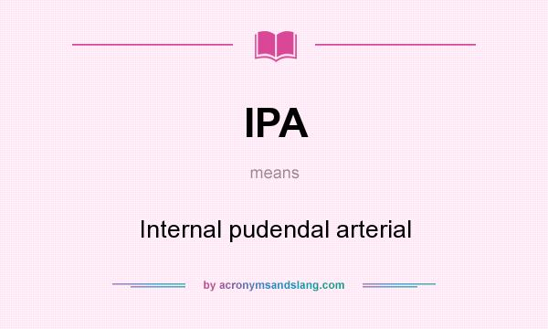 What does IPA mean? It stands for Internal pudendal arterial