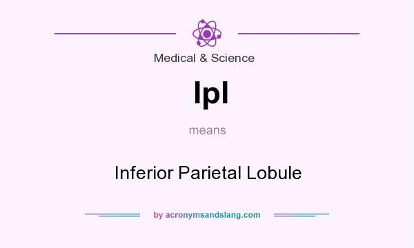 What does Ipl mean? It stands for Inferior Parietal Lobule