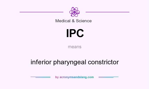 What does IPC mean? It stands for inferior pharyngeal constrictor