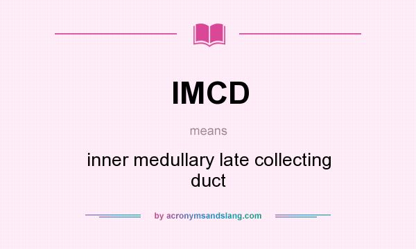 What does IMCD mean? It stands for inner medullary late collecting duct